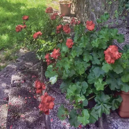 Two-bedroom Holiday In Chrustenice Prázdninový dům Loděnice